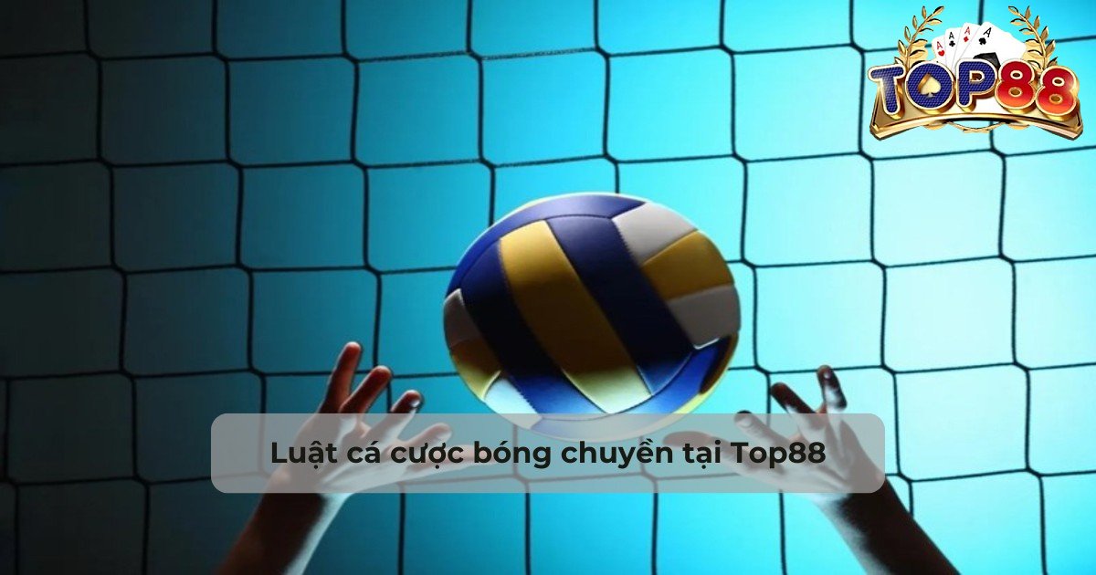 cá cược bóng chuyền luật chơi