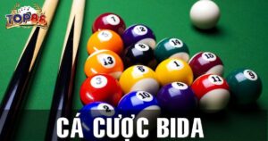 giới thiệu cá cược bida