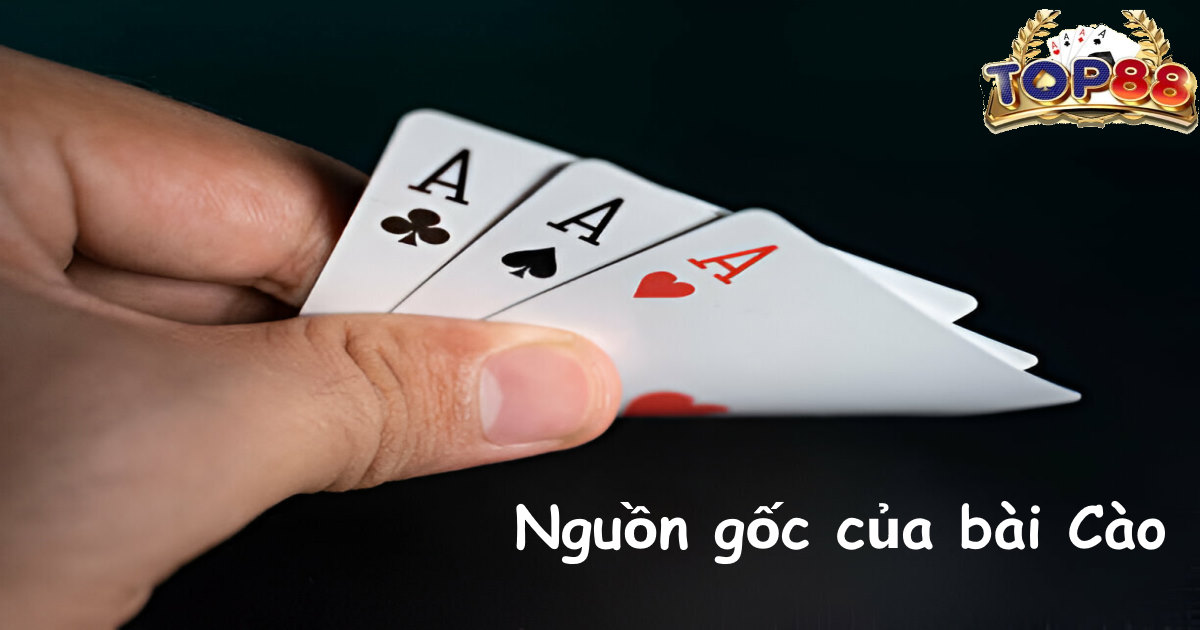 Nguồn gốc bài cào là gì