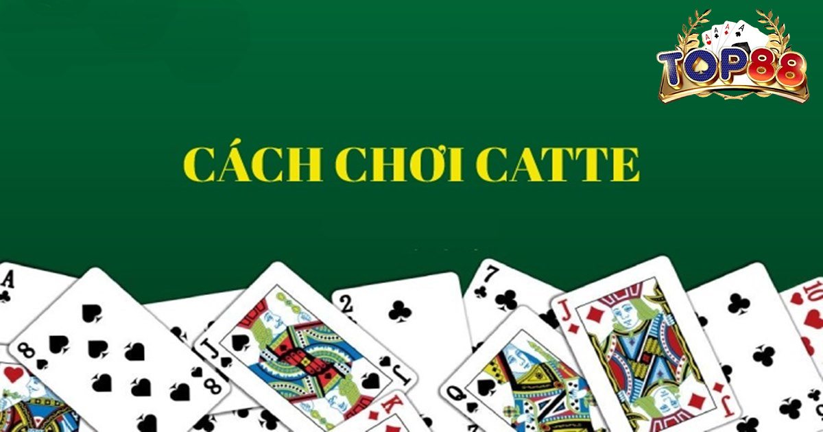 vòng 5 cách chơi bài catte cat tê